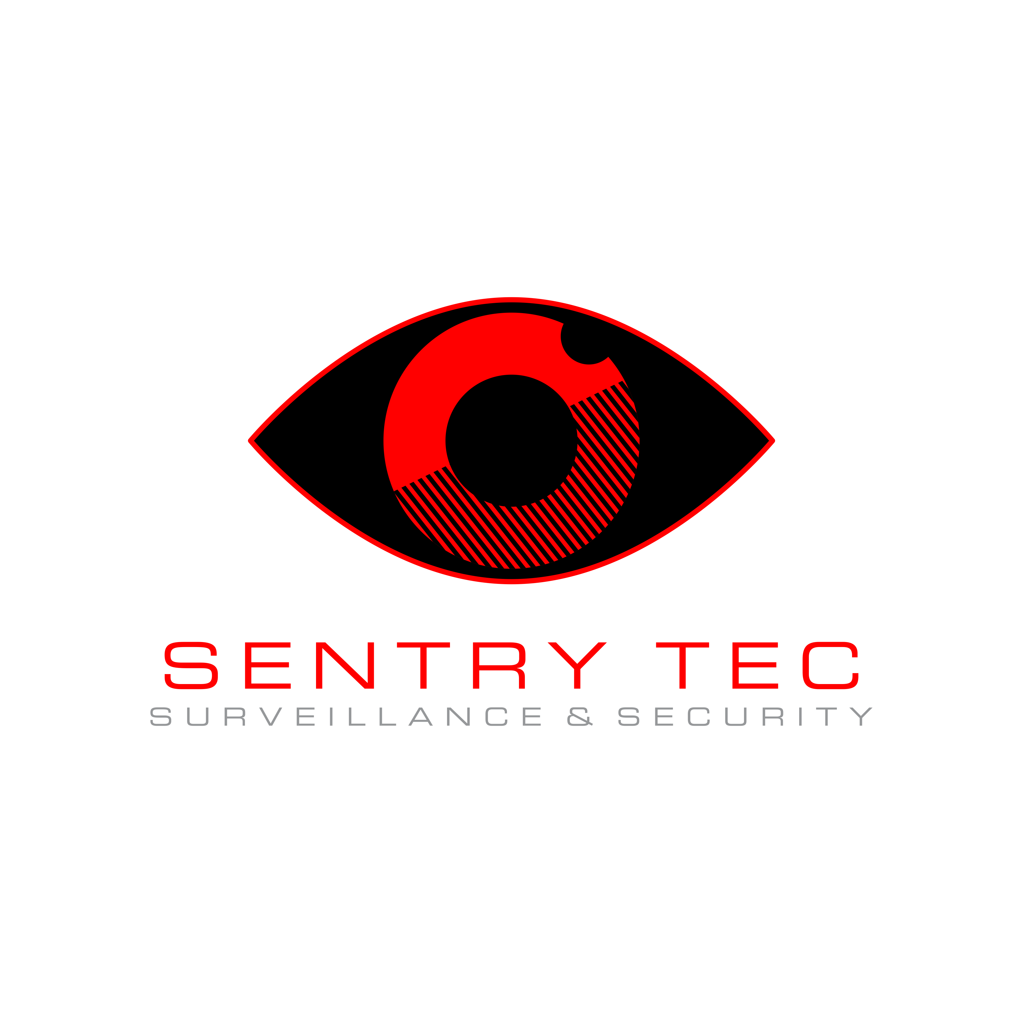 Sentry Tec — Surveillance & Security